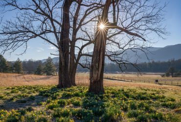 4 Reasons Why Your Family Should Spend Easter in Pigeon Forge